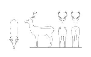 cad block drawing with all 2d views including front, elevations and plan, of a deer, dwg model for free download