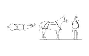 horse cad block drawing dwg model file for free download all 2d views included