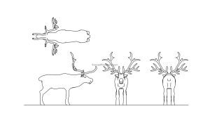 all 2d drawing of a reindeer cad block with elevation, front, and back views, dwg file model for free download