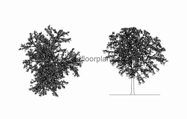 apple tree cad block drawing 2d views plan and front elevations dwg file for free download