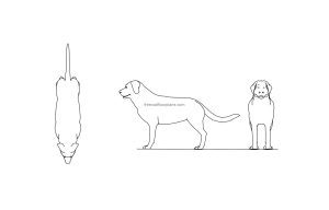 autocad drawing of a dog, plan and elevations views, 2d cad block for free download