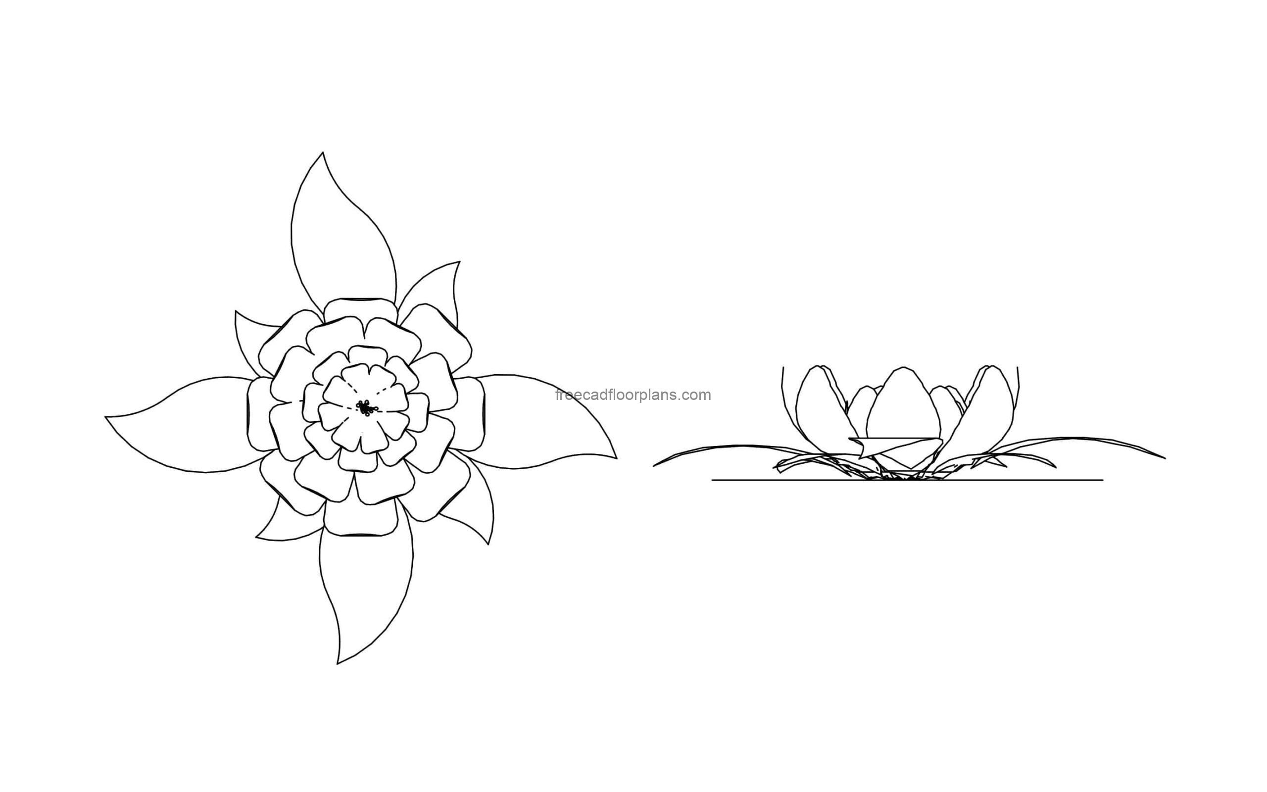 lotus flower drawing cad block plan and elevation views file in dwg format for free download