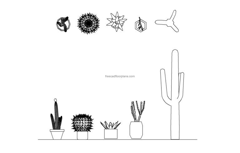 Cactus, Plan+ Elevations