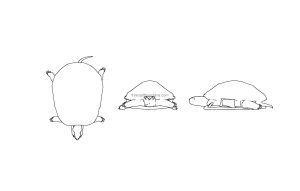 autocad drawing of a turtle, plan and elevation views, dwg free download file