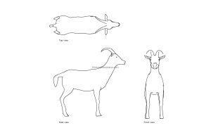 autocad drawing of a goat, plan and elevation 2d views, dwg file free for download