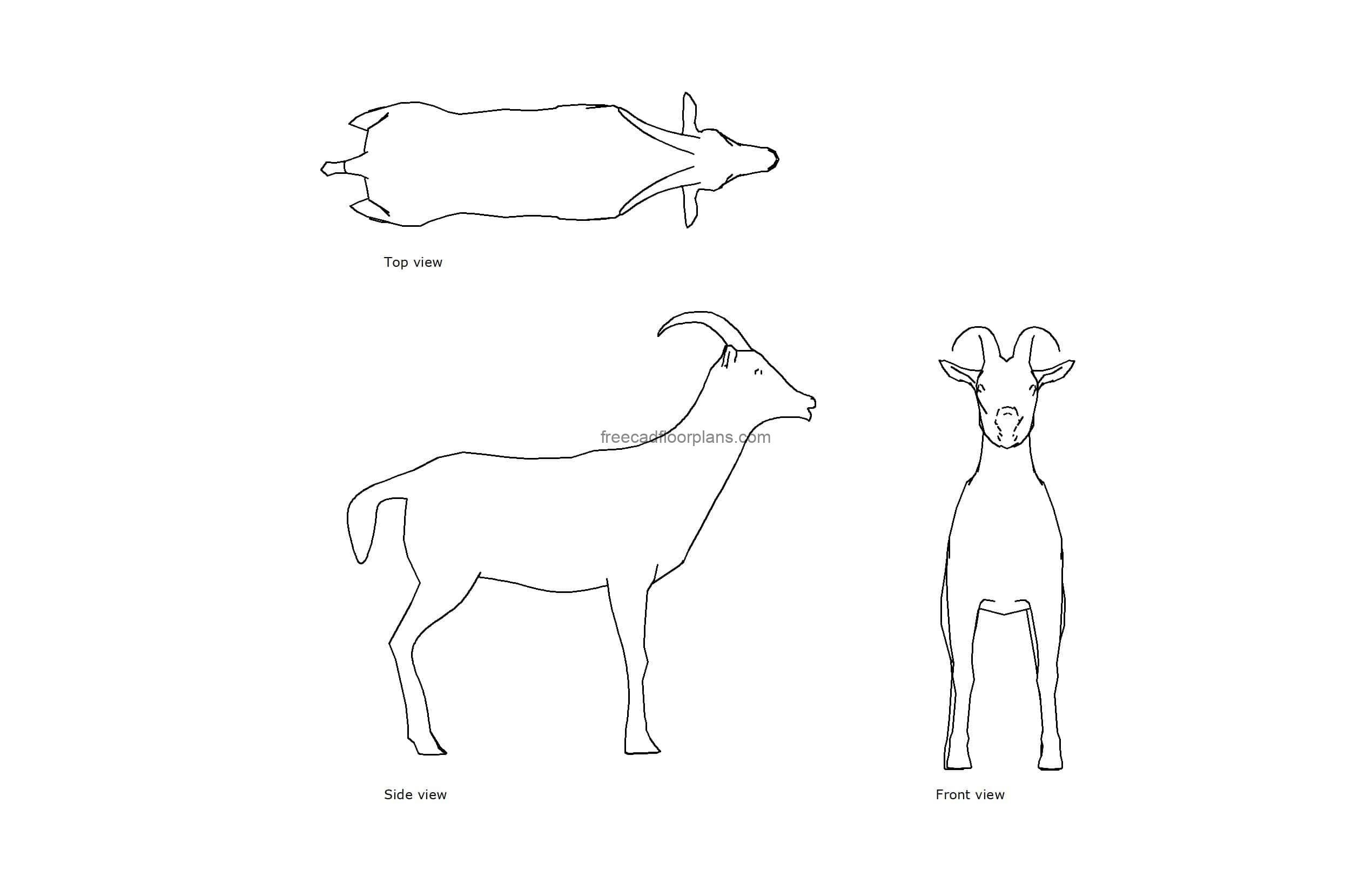 autocad drawing of a goat, plan and elevation 2d views, dwg file free for download