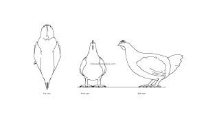 autocad drawing of a chicken, plan and elevation 2d vies, dwg format file for free download
