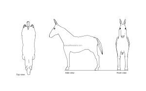 autocad drawing of a donkey, plan and elevation 2d views, dwg file free for download