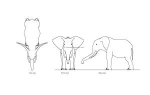 autocad drawing of a elephant, plan and elevation 2d views, dwg file free for download