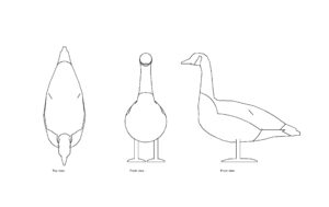 autocad drawing of a goose, plan and elevation 2d views, dwg file free for download