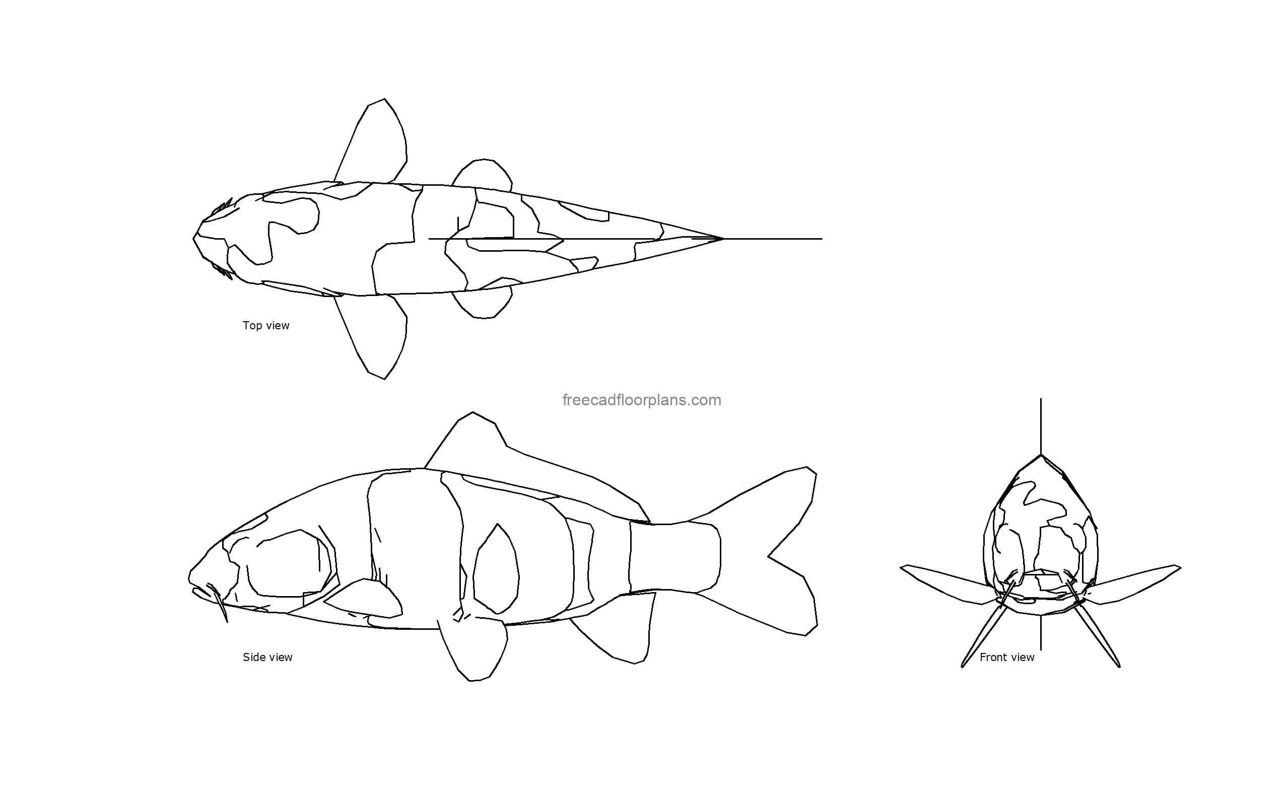 Koi Fish - Free CAD Drawings