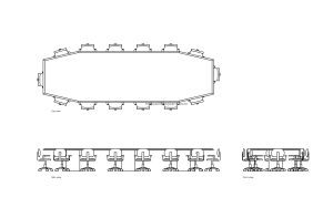 autocad drawing of a large conference table, plan and elevation 2d views, dwg file free for download