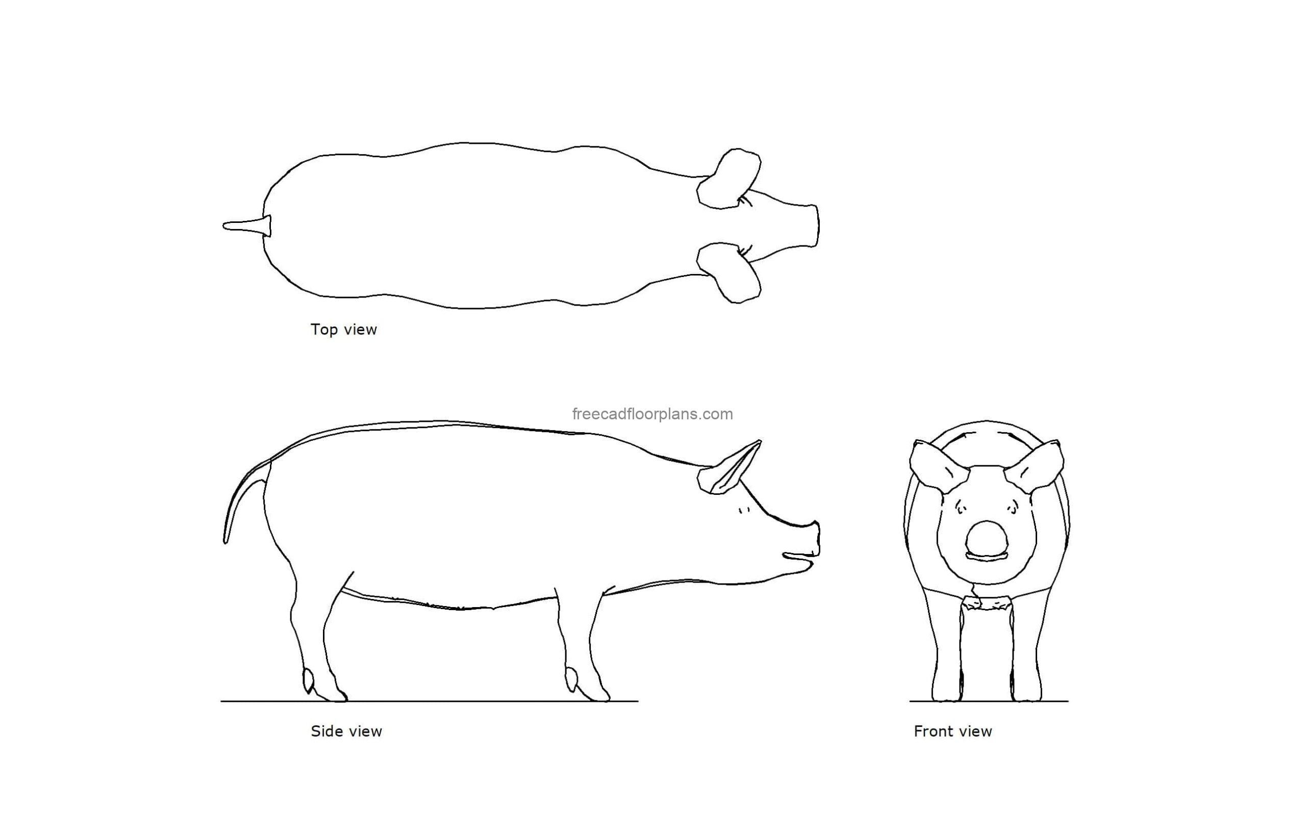 autocad drawing of a pig plan and elevation 2d views, dwg file free for download