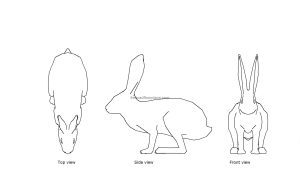 autocad drawing of a rabbit, plan and elevation 2d views, dwg file free for download