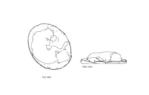 autocad drawing of a sleeping dog, plan and elevation 2d views, dwg file free for download