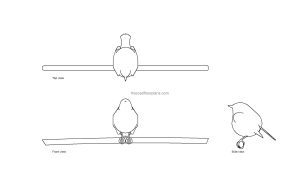 autocad drawing of a small bird, plan and elevation 2d views, dwg file free for download