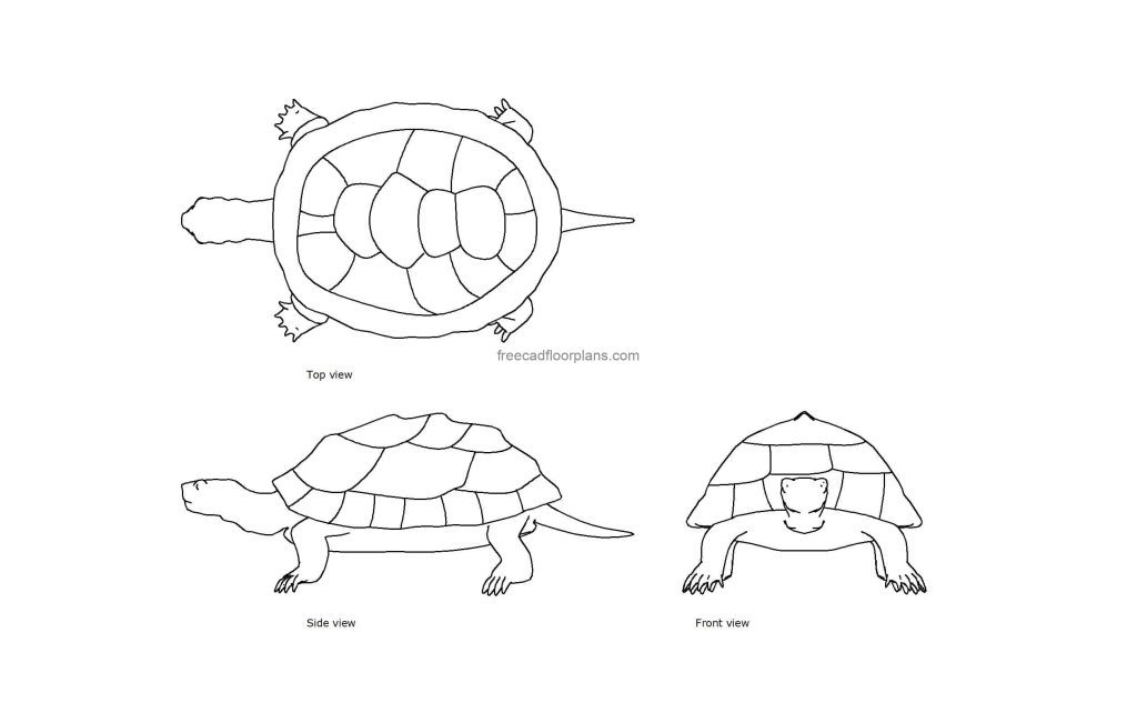 Tortoise - Free CAD Drawings