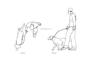 autocad drawing of a person walking with dog, plan and elevation 2d views, dwg file free for download