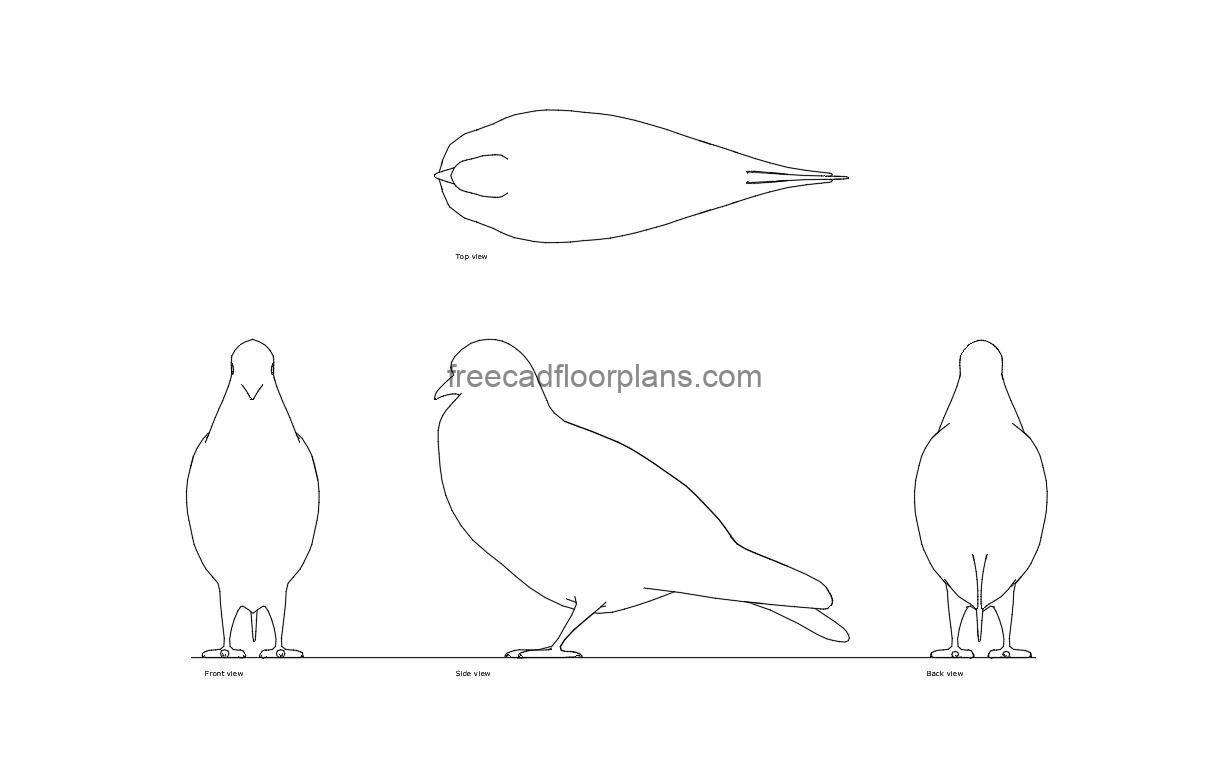pigeon autocad drawing, plan and elevation 2d views, dwg file free for download