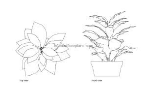 croton plant autocad drawing, plan and elevation 2d views, dwg file free for download