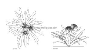 spider plant autocad drawing, plan and elevation 2d views, dwg file free for download