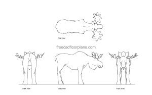 moose autocad drawing, plan and elevation 2d views, dwg file free for download