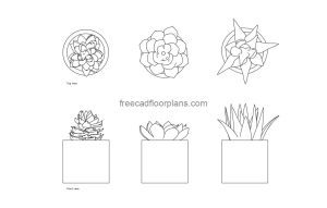 succulents decor autocad drawing, plan and elevation 2d views, dwg file free for download