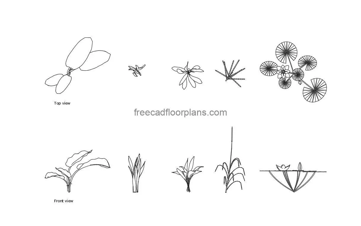aquatic plants autocad drawing, plan and elevation 2d views, dwg file free for download