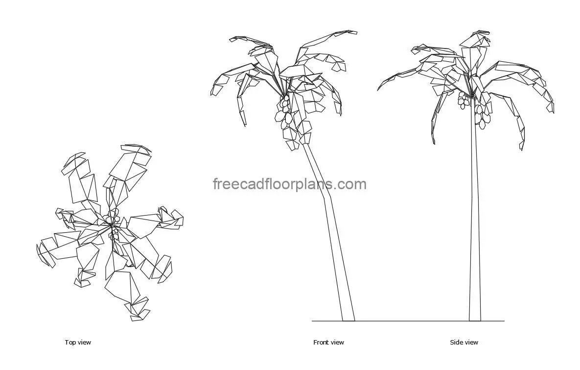 coconut tree autocad drawing, plan and elevation 2d views, dwg file free for download