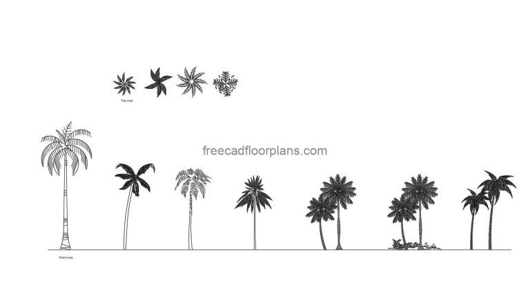 Palm Trees (Plan+Elevations)