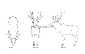 elk autocad drawing, plan and elevation 2d views, dwg file free for download